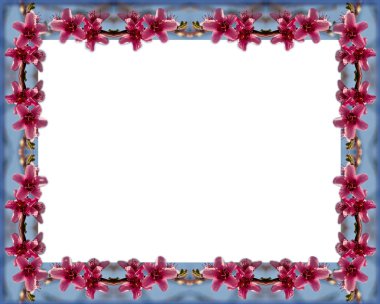 Şeftali çiçekleri çerçevesinden