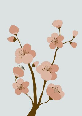 dal kiraz çiçekleri ile