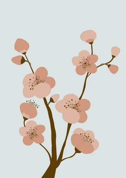 Branche aux fleurs de cerisier — Image vectorielle