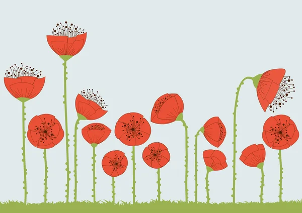 Fleurs de pavot — Image vectorielle
