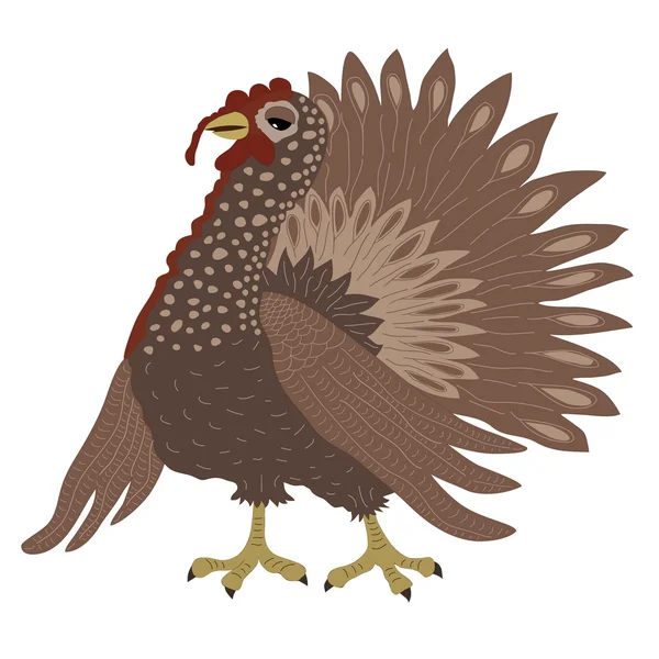 Coq de Turquie — Image vectorielle