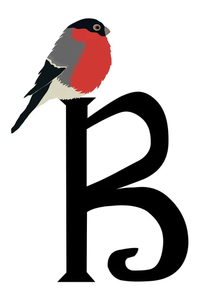 B dla ptaków — Wektor stockowy