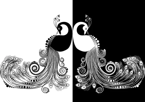 Tavus kuşu siyah ve beyaz