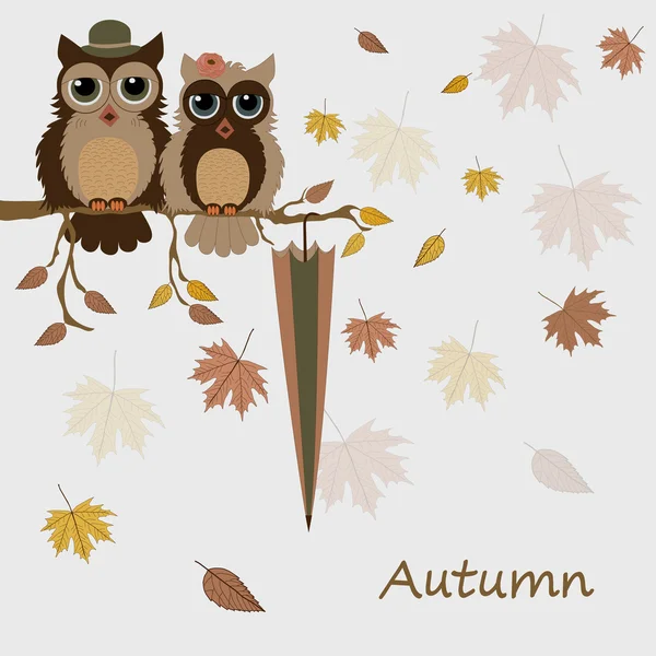 Pareja de búhos en rama en otoño — Vector de stock