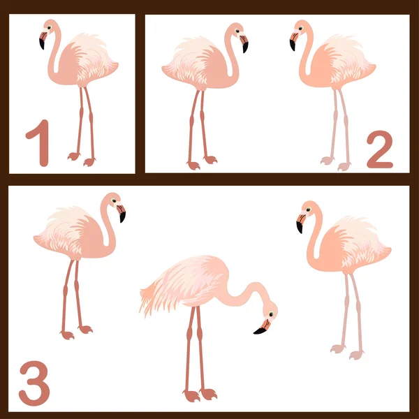 Conjunto de flamingo — Vetor de Stock