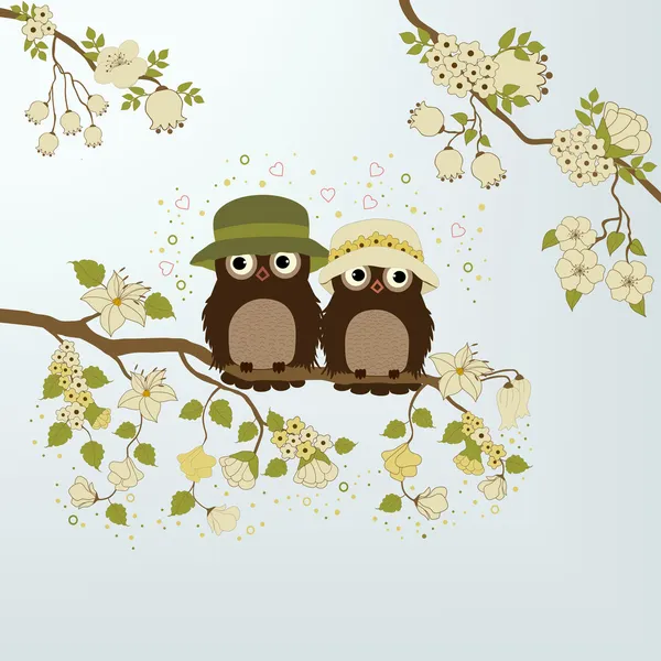 Owls on branch — Stock Vector
