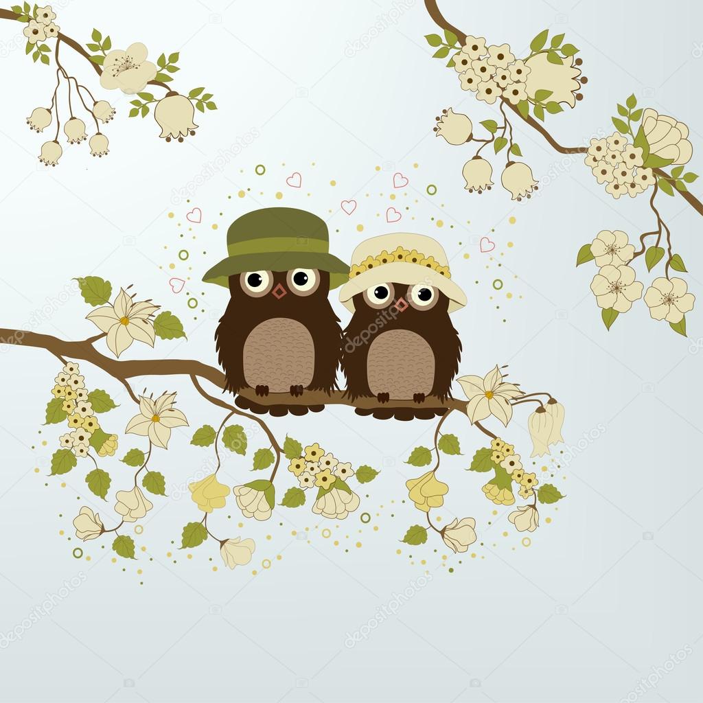 Owls on branch