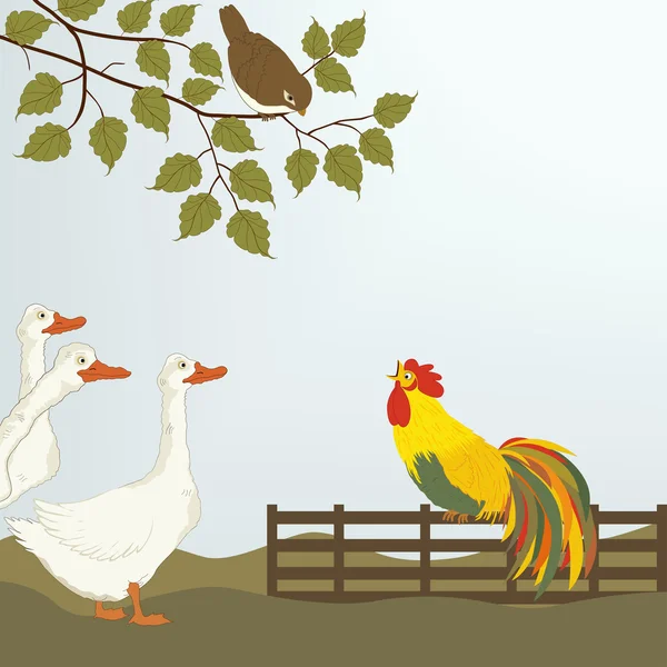 A cock on the fence with gooses — Stock Vector