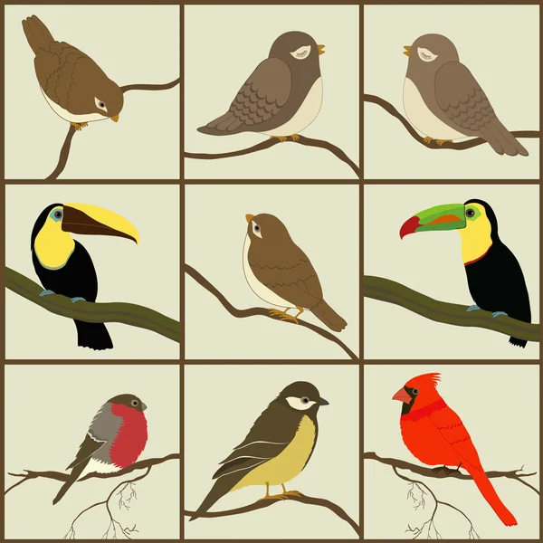 Ensemble d'oiseaux — Image vectorielle