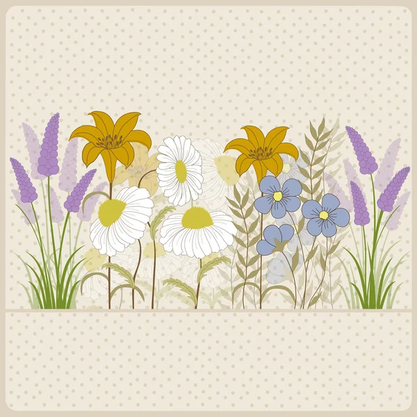 カラフルな野生の花 — ストックベクタ