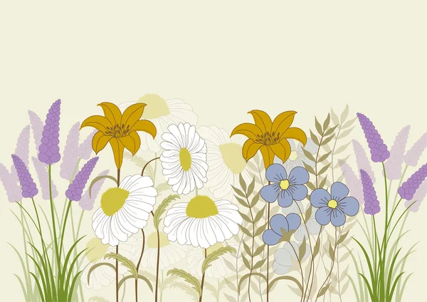 Kleurrijke wilde bloemen — Stockvector