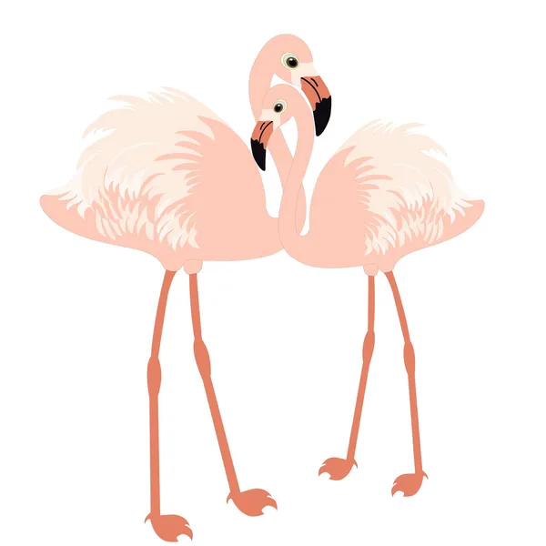 Paire de flamants roses — Image vectorielle