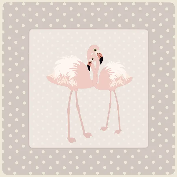Cartão com par de flamingo — Vetor de Stock