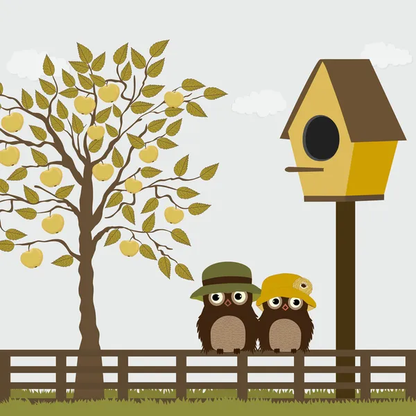 Corujas bonitos em uma cerca com birdhouse e macieira — Vetor de Stock