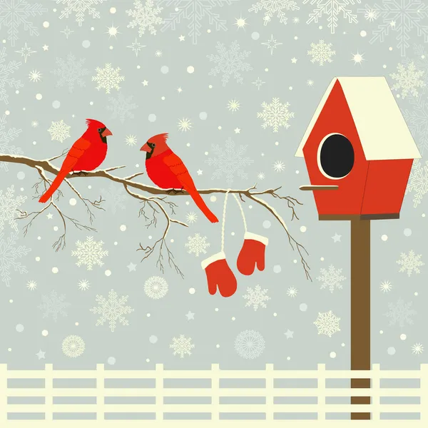 Uccelli rossi su ramo con neve e birdhouse — Vettoriale Stock