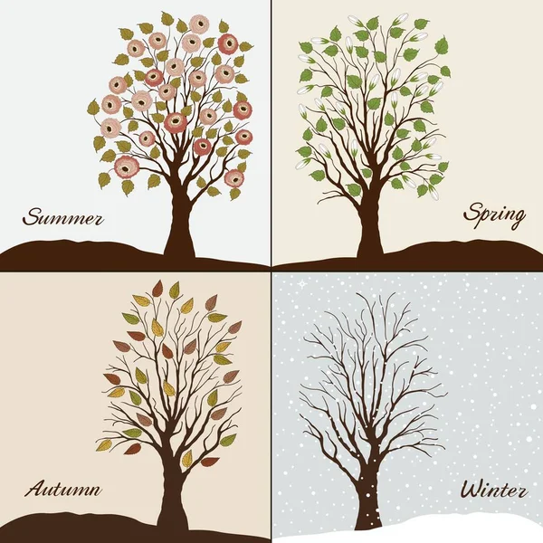 Dört Mevsim Kış Sonbahar Yaz Bahar Ağaçlar Stok Illüstrasyon
