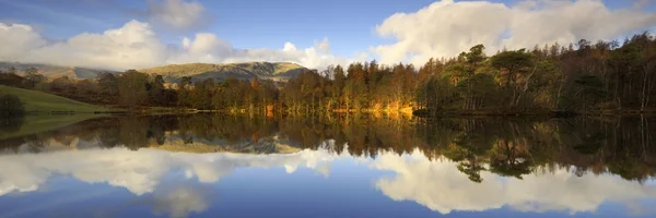 Reflexiones — Foto de Stock