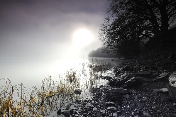 Nebliger Morgen — Stockfoto