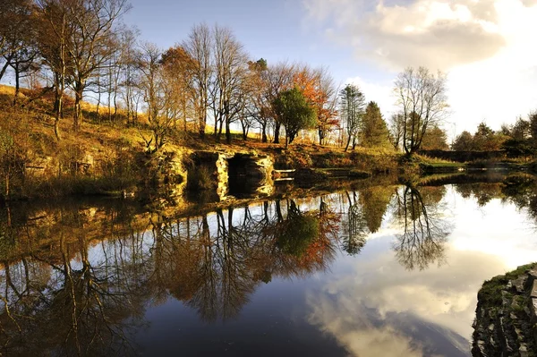 Winter Reflections — Stock Photo, Image