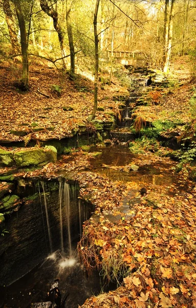 Die Schlucht — Stockfoto