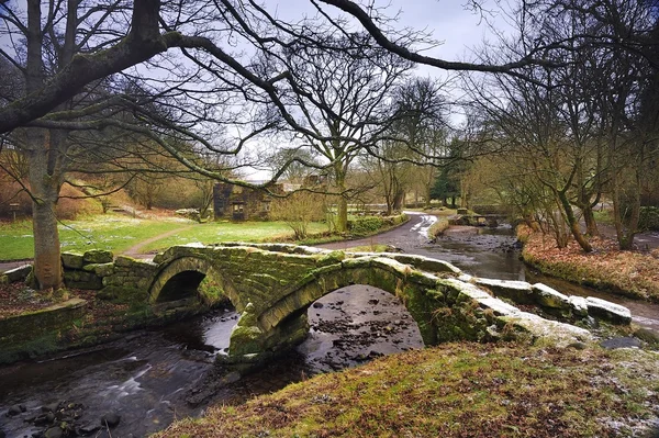 Oude voet brug — Stok fotoğraf