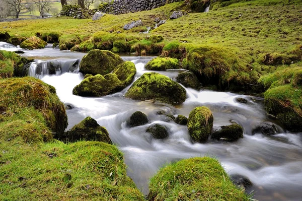 Stream in the Field — Stock Photo, Image