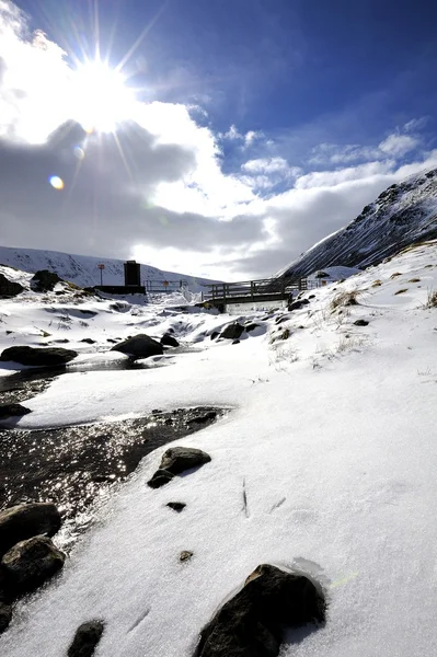 Sneeuw op de rivier bank — Stockfoto