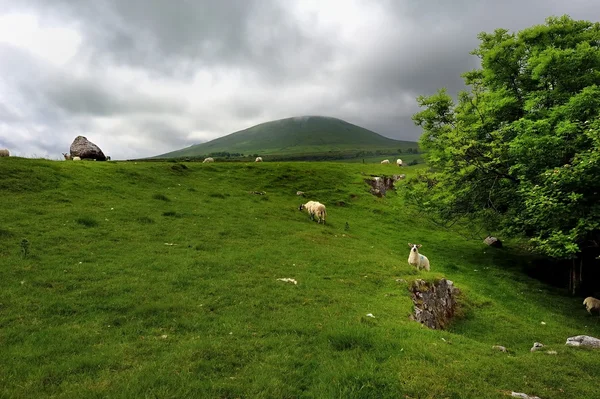 Erratic Boulder and Simon Fell — Stock Photo, Image