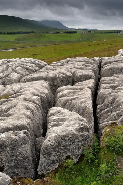 Pavimento in pietra calcarea — Foto Stock