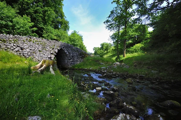 Alte Steinbogenbrücke — Stockfoto