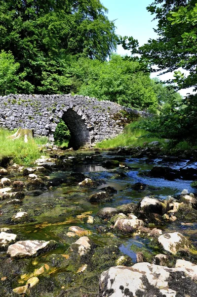 Старый арочный каменный мост — стоковое фото
