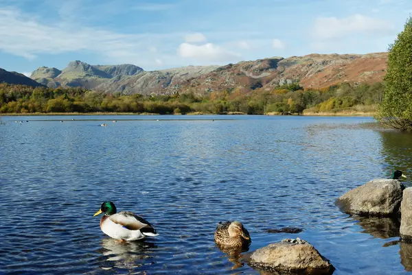 Loughrigg — 图库照片