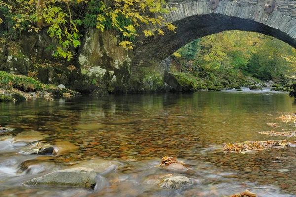 Klares Wasser — Stockfoto