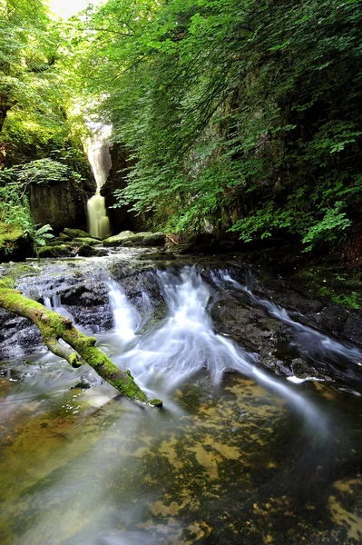 Waterfall — Stock Photo, Image