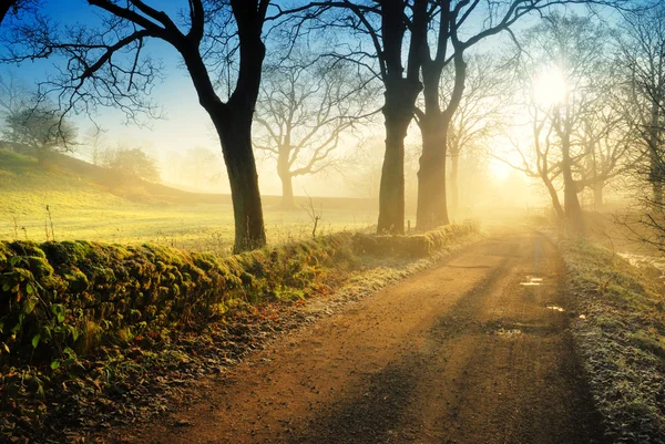 Autumn at Wycollar - England - UK — Stock Photo, Image