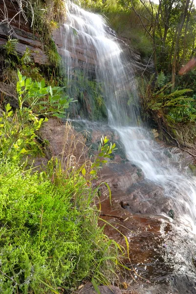 Cachoeira — Fotografia de Stock