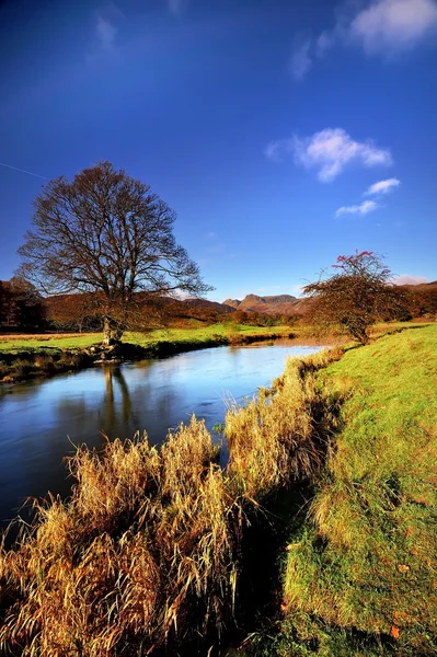 Río de invierno — Foto de Stock