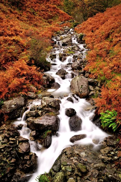 Río Fall — Foto de Stock
