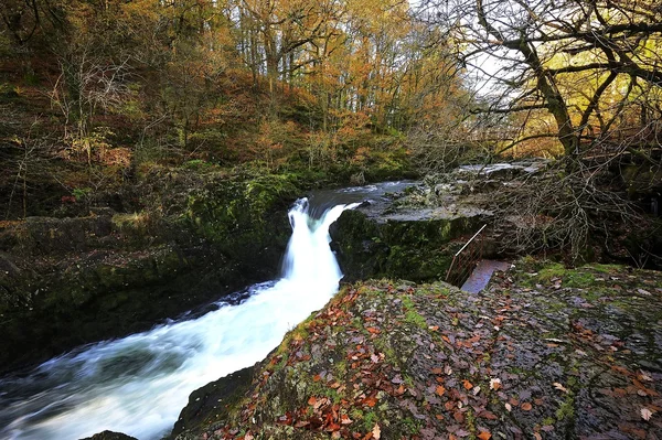 Skelwith Force — Stock Photo, Image