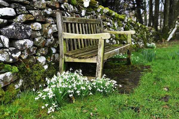 Sedile vuoto in primavera — Foto Stock