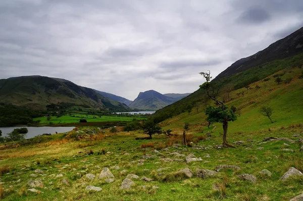 Lakes and Fells — Stock Photo, Image