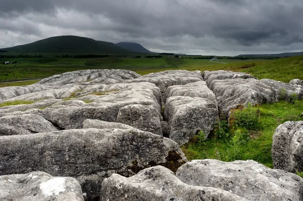 Limestone Pavement — Stock Photo, Image