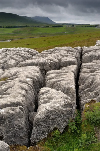 Limestone Pavement — Stock Photo, Image