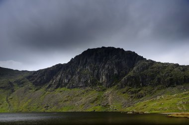 pavey ark