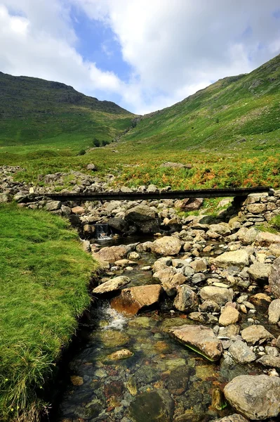 Timber Footbridge — Stock Photo, Image