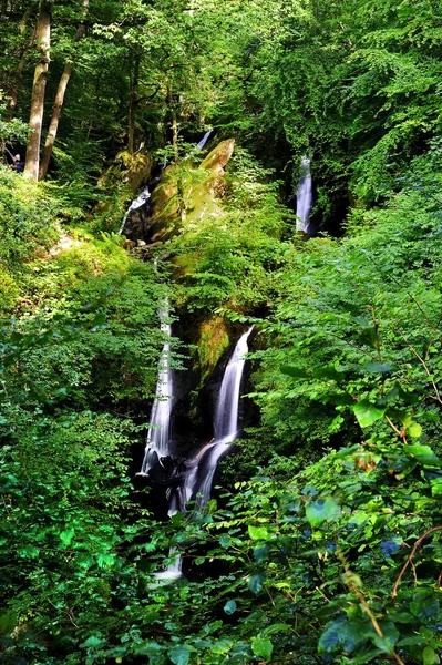 Cachoeira — Fotografia de Stock