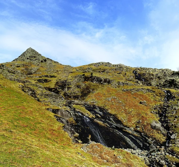 Belles Knott — Stok fotoğraf