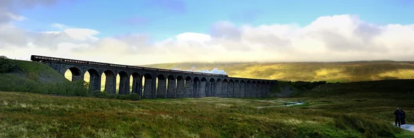 Паровой поезд на мосту — стоковое фото
