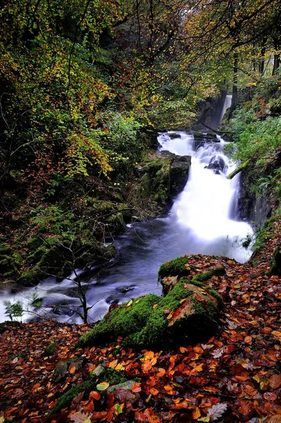 Cascades d'automne — Photo