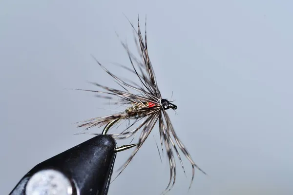 Holy Grail Trout Fly — Stock Photo, Image